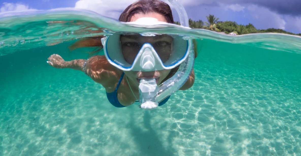 Guided Snorkel in Barcelona Beach - The Guide: Comfort First, Then Marine Life