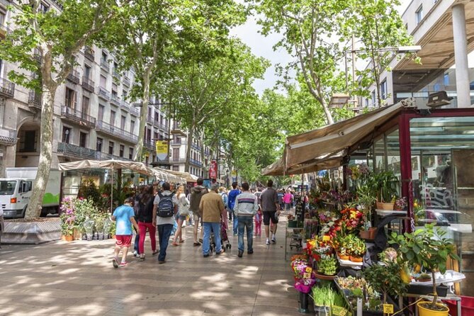 Half Day Barcelona Private Walking Tour - Quick Hits Before You Go