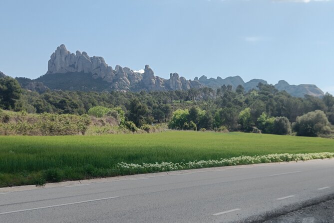 Half Day Private Montserrat Tour - Key highlights worth planning around