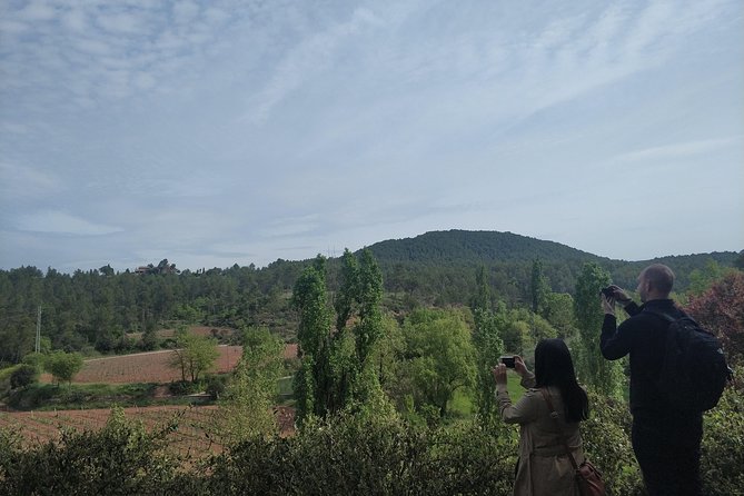Half Day Private Wine & Oil Tasting Tour near Barcelona with hotel pick up - Languages and pace: what English support looks like