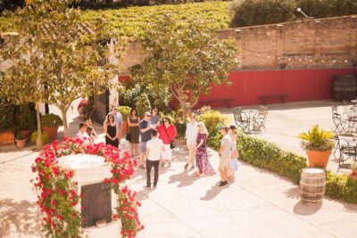 High-End Vineyard Escape: Cava, Tapas & Wine | Private Tour - Finca Ca n’Estella: Tastings, Tapas, and What the Bubbles Teach