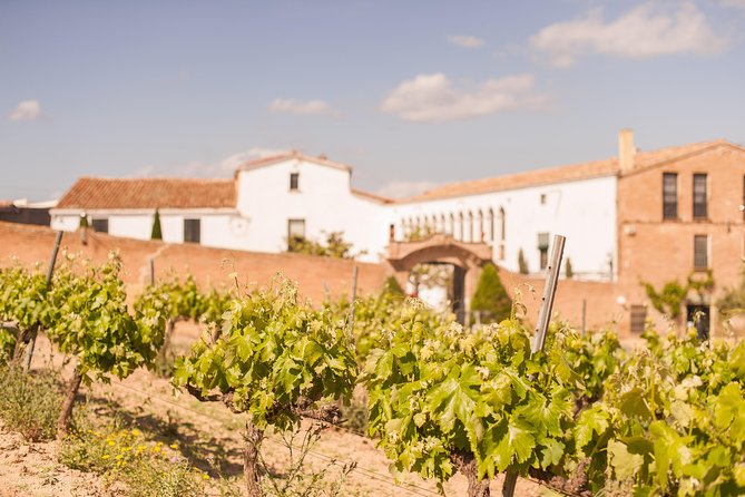 High-End Vineyard Escape: Cava, Tapas & Wine | Private Tour - What to Wear and Expect: Winery Weather and Comfortable Shoes