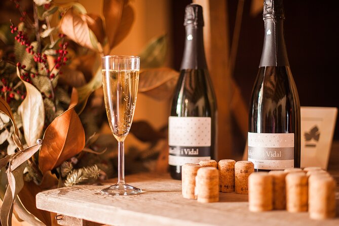High-End Vineyard Escape: Cava, Tapas & Wine | Private Tour - Your Guide Matters: When Pol, Toni, Javier, and Others Set the Tone