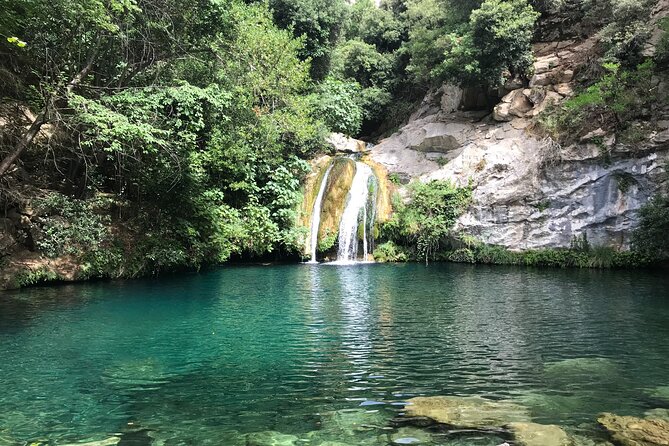Hike to Secret Waterfalls of the Pyrenees Mountains, From Barcelona & Girona - Alta Garrotxa: why this Pyrenees-style hike feels remote