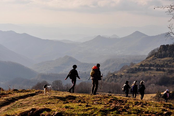 Hiking and Trekking Barcelona - Meeting Point and Morning Flow: Start at 9:00, Then Get Moving