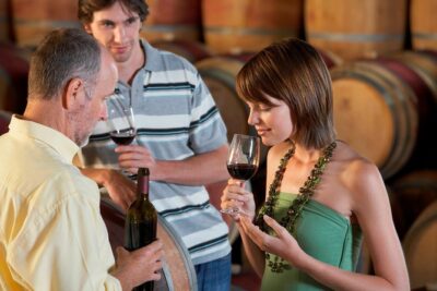 Horseback Ride, Penedes, Wine Tasting & Tapas Private Tour - Pares Balta Wine Tasting: What the Winery Stop Really Gives You