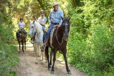 Horseback Riding in Montserrat Mountain Natural Park, Barcelona - 1 to 2 hrs - Getting started at Natural Hipic Km 0.45 (and what you’ll likely do first)