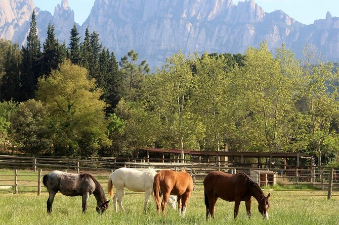 Horseback Riding in Montserrat Mountain Natural Park, Barcelona - 1 to 2 hrs - Morning or afternoon: when the timing actually changes the experience