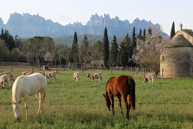 Horseback Riding in Montserrat Mountain Natural Park, Barcelona - 1 to 2 hrs - Who should book this ride (and who should think twice)