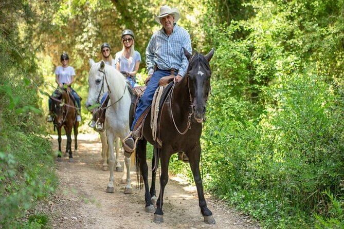 Horseback Riding in Montserrat Mountain Natural Park, Barcelona - 1 to 2 hrs - Getting started at Natural Hipic Km 0.45 (and what you’ll likely do first)