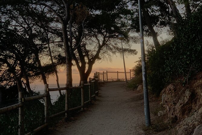 Montjuïc Magic: Hidden Pathways, Vermut Delights & Sunset Bliss - Price and value: what $53.61 buys you on Montjuïc