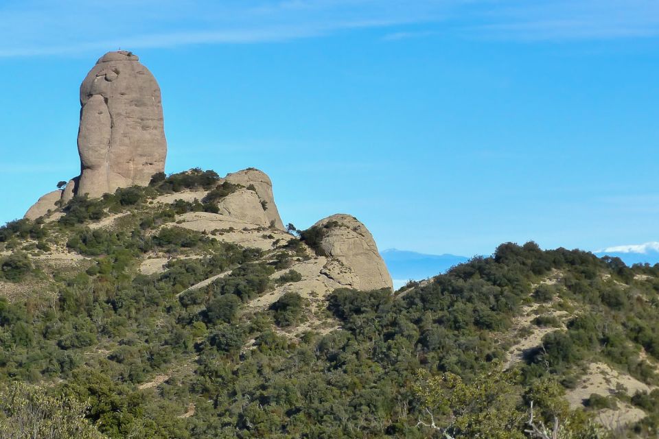 Montserrat: 6-Hour Tour with a Choice of 3 Levels of Hiking - On the mountain trail: geology, plants, animals, and legends