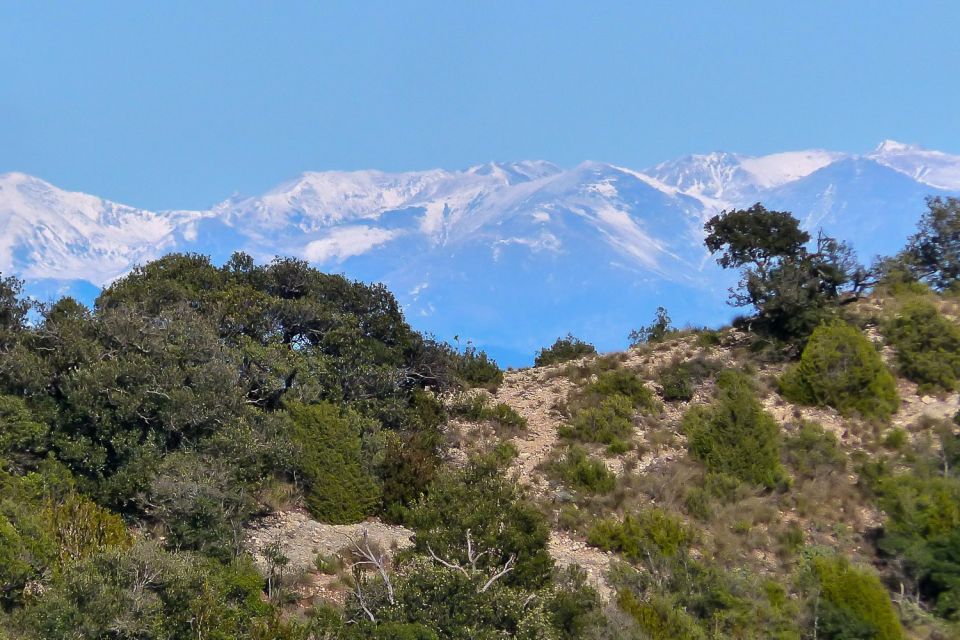Montserrat: 6-Hour Tour with a Choice of 3 Levels of Hiking - Choosing the right hike level on Montserrat