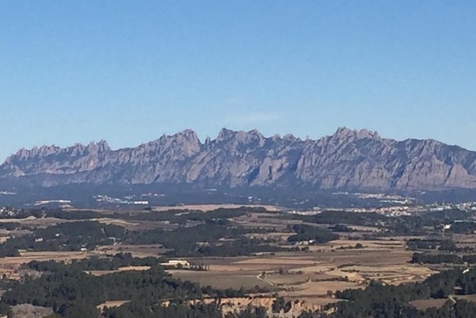 Montserrat & best winery private tour experience with a local expertise - Who this tour is best for (and who might skip it)