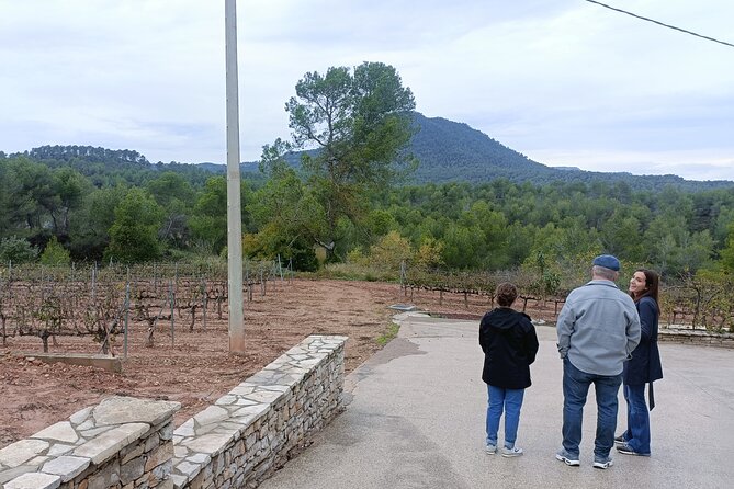 Montserrat & beyond private tour with pickup, tickets & options - Who This Montserrat Tour Fits Best (and Who Should Think Twice)