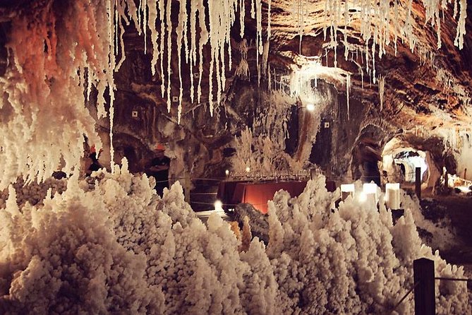 Montserrat Cardona and Salt Mountain Private Tour - Montana de Montserrat: The Easy Walk That Makes Everything Click