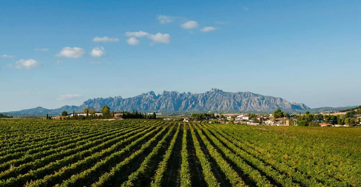Montserrat & Cava Wineries Day Trip from Barcelona w/ Pickup - Montserrat Monastery and the Black Madonna: the pilgrimage core