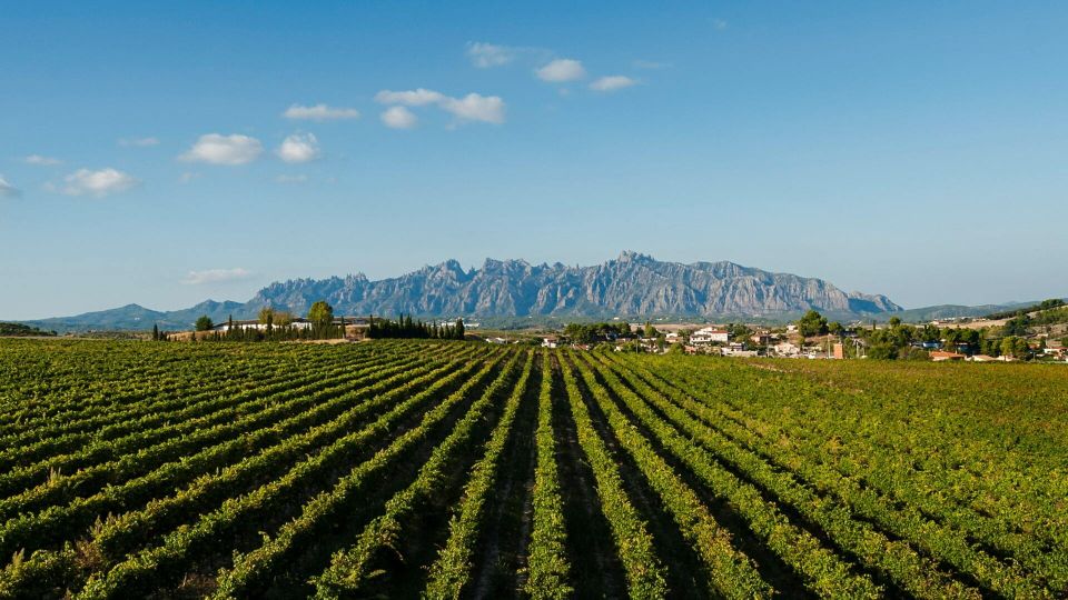 Montserrat & Cava Wineries Day Trip from Barcelona w/ Pickup - The drive to Penedès: transitioning from pilgrimage to bubbles