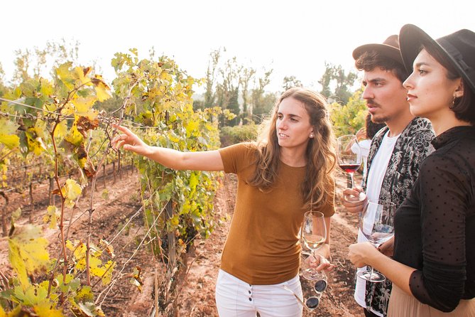 Montserrat & Cogwheel Train, Gourmet Wine Tasting & Tapas/Lunch - Tapas lunch vs multi-course lunch with wine pairings