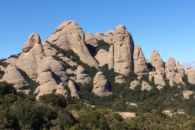 Montserrat Hiking Experience & Monastery Premium Small Group Tour - After the hike: farmers market time and real Catalan snacks