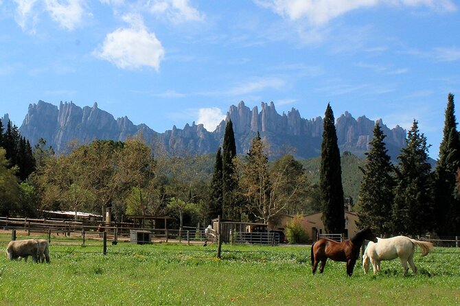 Montserrat Horseback Riding & Monastery – Small Group (Max 8) - What to pack for Montserrat horseback riding (and how to make it better)