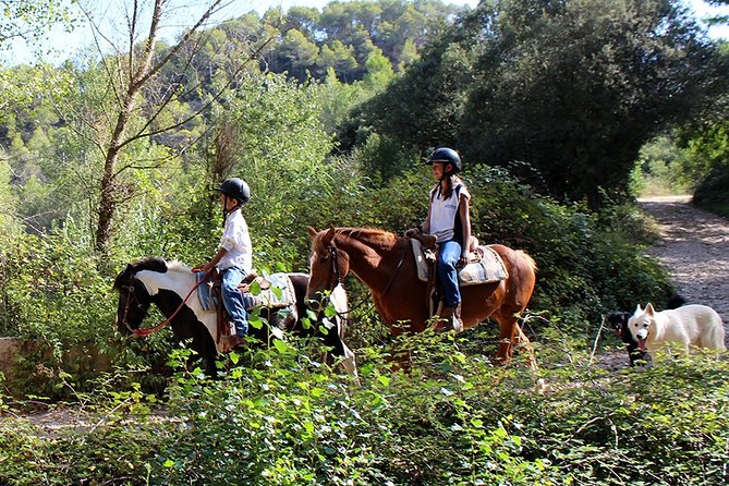 Montserrat Horseback Riding & Monastery – Small Group (Max 8) - Should you book this Montserrat horseback riding and monastery tour?