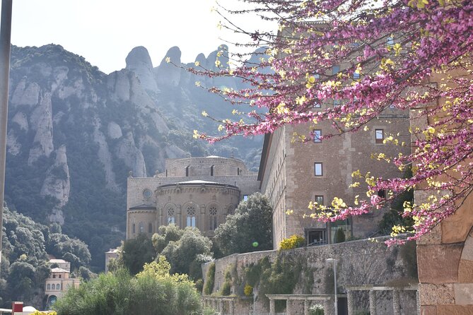 Montserrat Mountain Hiking Tour to Sant Jeroni, Small Group - Pace, Snacks, and Timing: How the 6.5-Hour Plan Feels