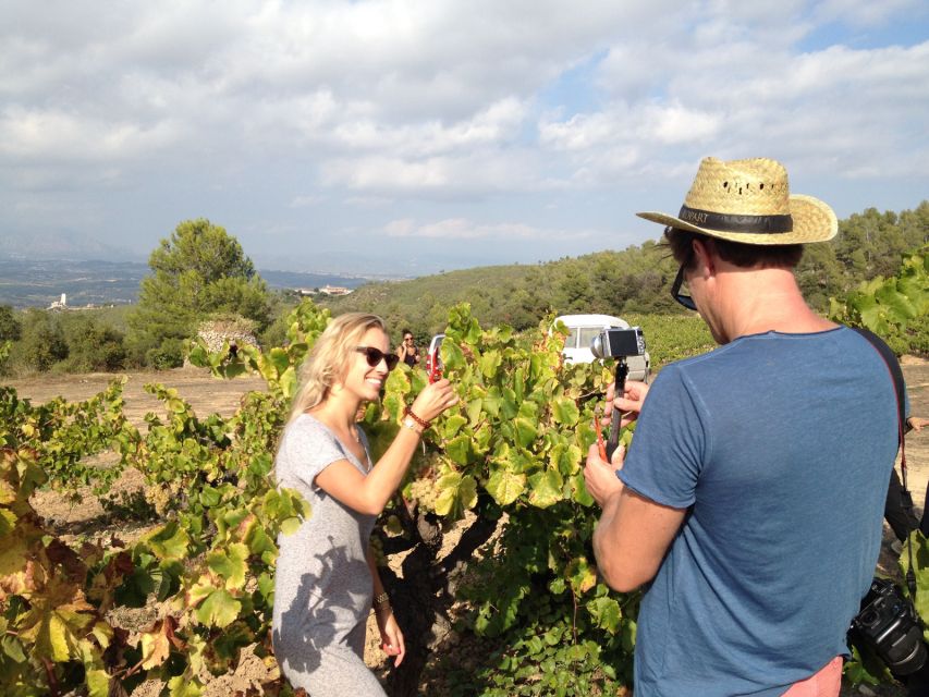Montserrat Private Day Trip & Codorniu Cava Cellar Tasting - Key highlights worth targeting
