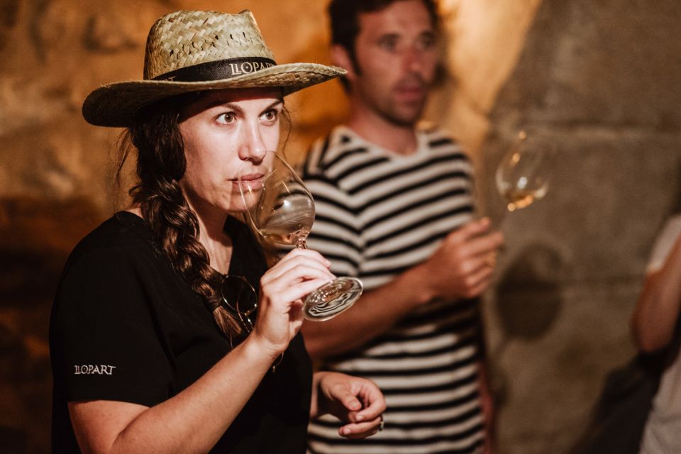Montserrat Private Day Trip & Codorniu Cava Cellar Tasting - Why This Pairing Works: Wine Culture Meets Mountain Spirit