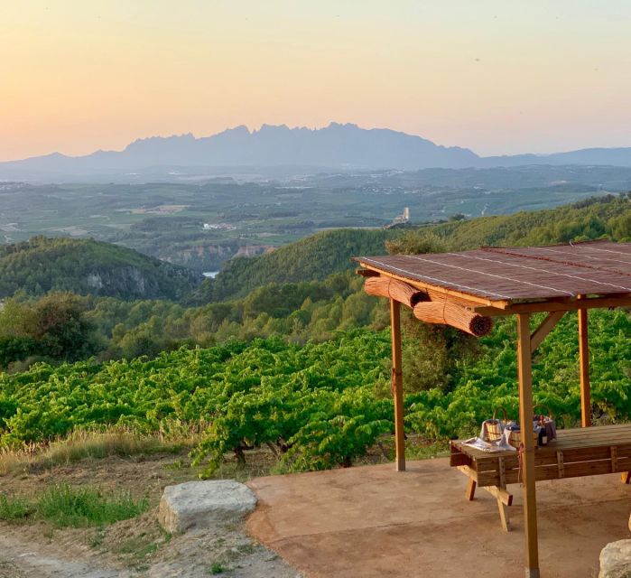 Montserrat Private Day Trip & Codorniu Cava Cellar Tasting - Price and Logistics: Getting Value at $350 per Person
