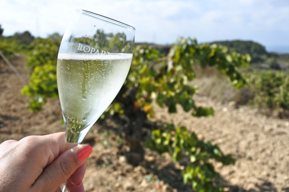 Montserrat Private Day Trip & Codorniu Cava Cellar Tasting - Who This Montserrat and Codorníu Tour Suits Best