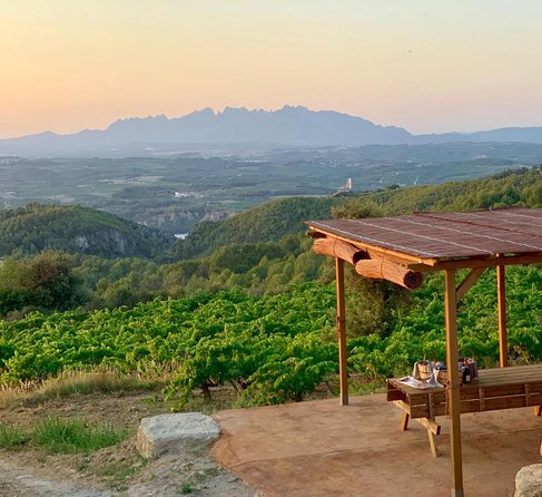Montserrat Private Day Trip with Codorniu Cava Cellar Tasting - Lunch and wine: what’s included in the sample menu, and what you might choose