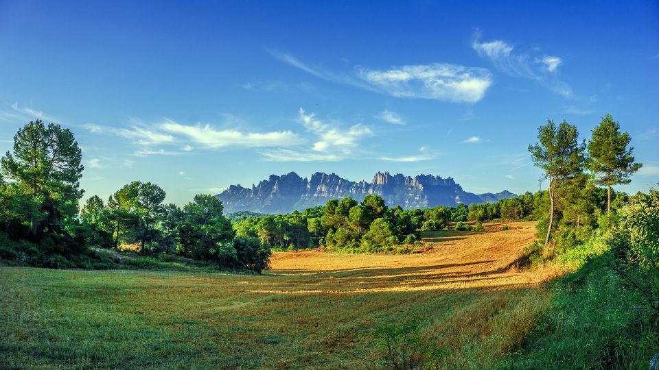 Montserrat: Private Half-Day Tour from Barcelona - Why Montserrat Works So Well in a Half-Day