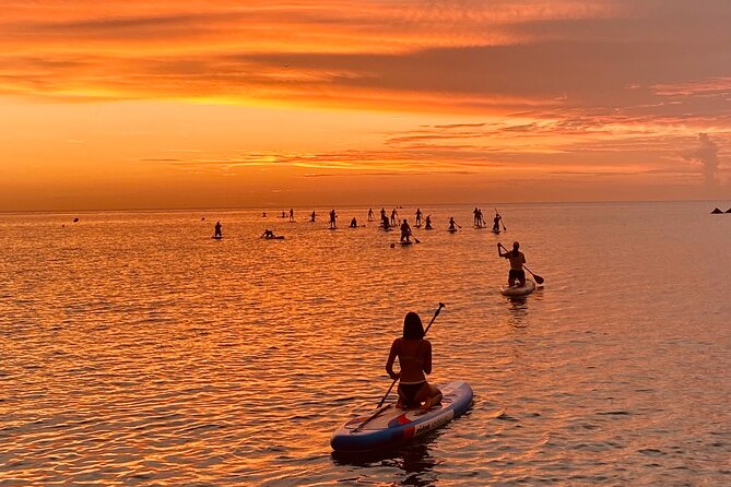 Paddle Surfing in Barcelona - The quick lesson: how beginners get stable on a stand-up paddle