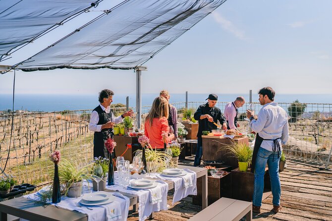 Paella Cooking Experience & Winery Tour from Barcelona - Who Should Book This Tour (and Who Might Skip)