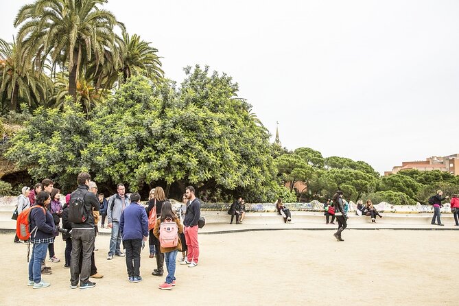 Park Guell Guided Tour with Skip the Line Ticket - Price and logistics: is $38.70 good value?