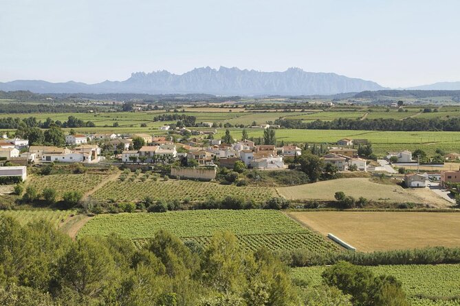 Penedes and Cava Winery Small Group Tour - Key things to know before you go