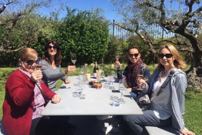 Penedes and Cava Winery Small Group Tour - The family cellar dating to 1385: what you’ll actually see