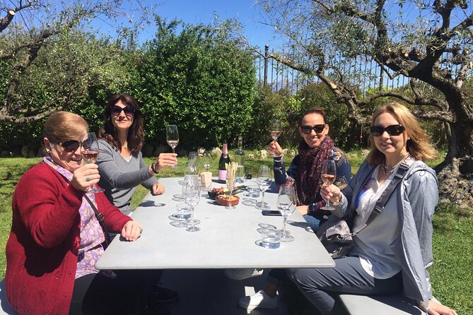 Penedes and Cava Winery Small Group Tour - The family cellar dating to 1385: what you’ll actually see