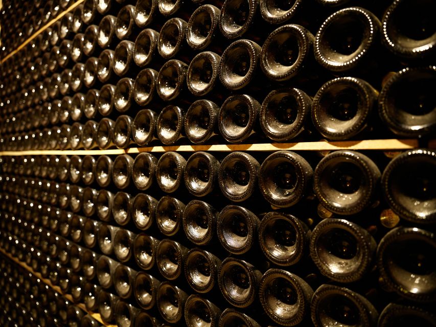 Penedès Vine to Wine: Personalized Cava taste&craft Workshop - Vineyard stroll: a calm change of pace