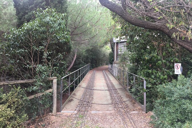 Photography route through the secret nature of Barcelona - Key things I’d bookmark before you go