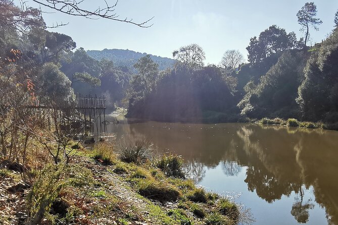 Photography route through the secret nature of Barcelona - Stop 1: Baixador de Vallvidrera and the moment the city thins out