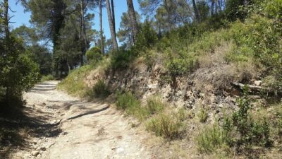 Photography route through the secret nature of Barcelona - Getting there from Pl. de Catalunya (and why the train ticket matters)