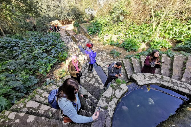 Photography route through the secret nature of Barcelona - Pantano de Vallvidrera: the swamp of Barcelona with dam, turtles, and banana trees
