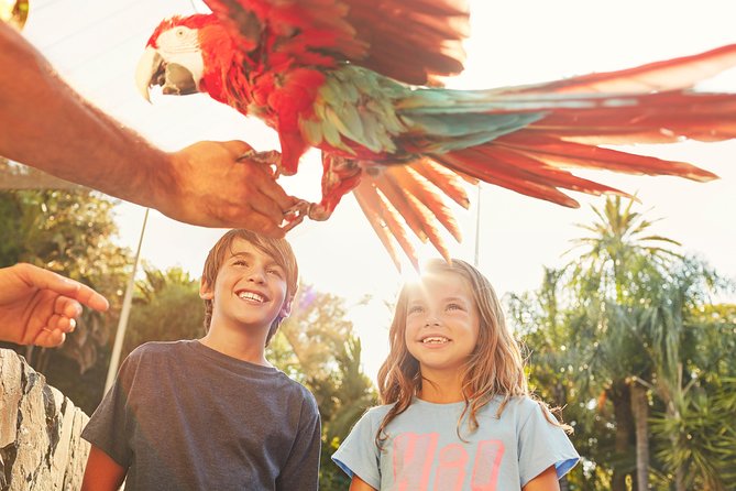 PortAventura Park Day Trip from Barcelona - A Coach Ride to Six Worlds of Adventure