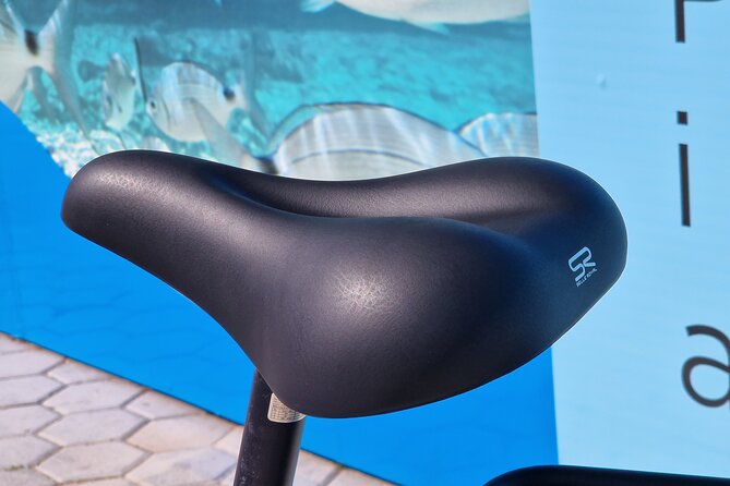 Premium Bike Rental in Barcelona - Premium Bike Rental in Barcelona: The Big Idea