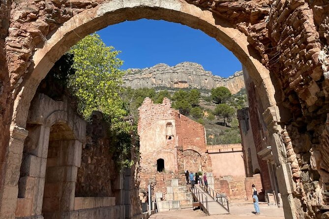 Priorat tour to 3 small wineries and hotel pick-up - Who this Priorat tour is best for