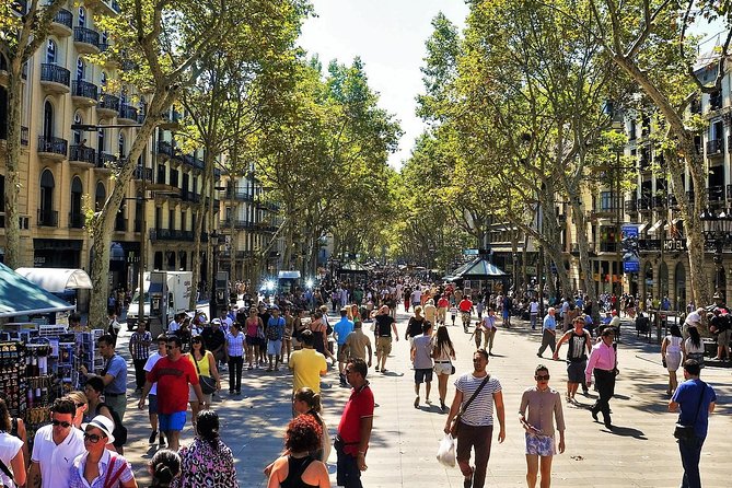 Private Barcelona and Park Güell Tour with hotel Pick-up - Eixample and Sagrada Família: the architecture lesson on wheels