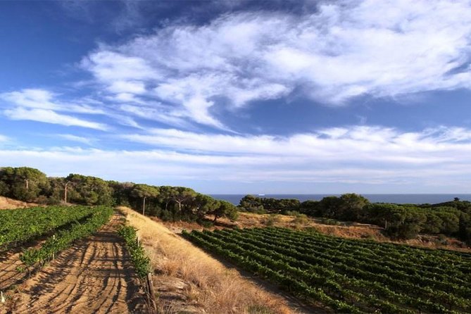 Private Breakfast Winery Experience - Private Wine Tasting Tour - Key things that make this tour work