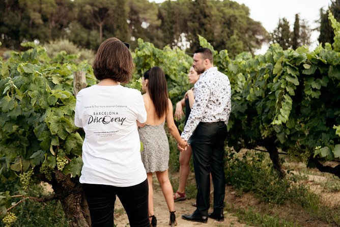 Private Breakfast Winery Experience - Private Wine Tasting Tour - Agbar Tower: A Quick Barcelona Icon on the Way Out of Town